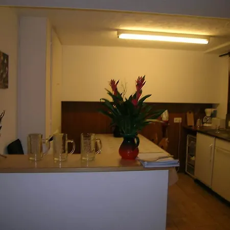 Schliechten Apartmán Saas Fee